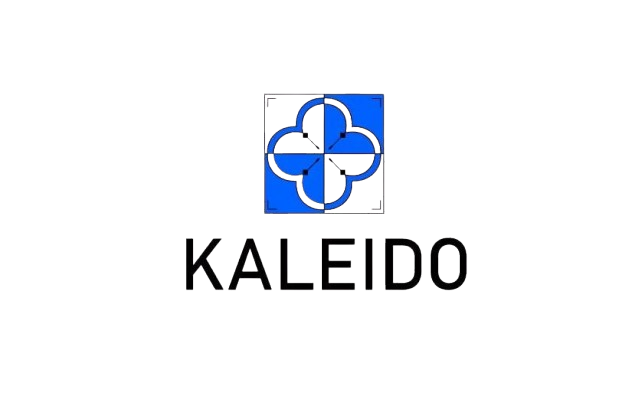 KALEIDO-removebg-preview